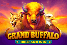 Grand Buffalo Hold and Win